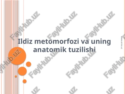 ildizmetomorfozivauninganatomiktuzilishi — PPTX