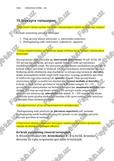 ko'krak aortasining pariyetal tarmoqlari — DOCX
