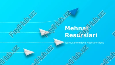 mehnat resurslari — PPTX