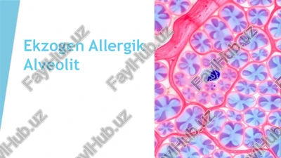 ekzogen allergik alveolit — PPTX