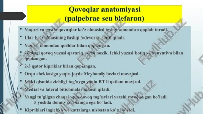 qovoqlar anatomiyasi (palpebrae seblefaron) — PPTX