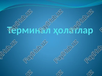 terminal holatlar — PPTX