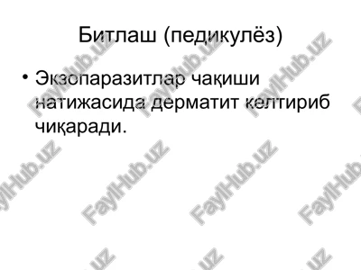 pedikulyoz (bitlash) — PPTX