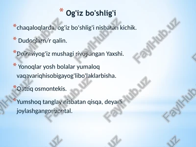 og'iz bo'shlig'i — PPTX