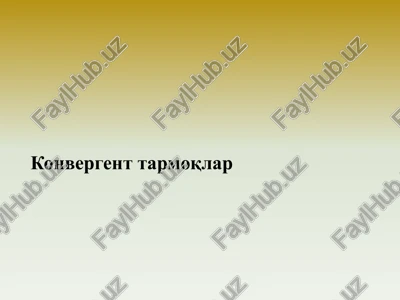 konvergent tarmoqlar — PPTX