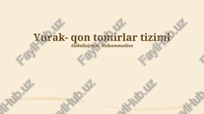 yurak-qon tomirlar tizimi — PPTX