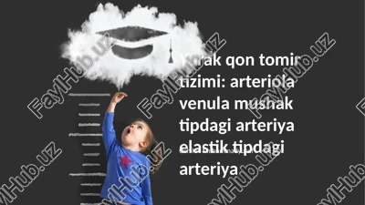 yurak qon tomir tizimi: arteriola venula mushak tipdagi arteriya elastik tipdagi arteriya — PPTX
