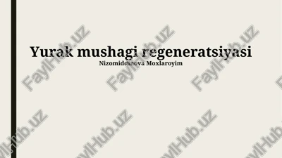 yurak mushagi regeneratsiyasi — PPTX