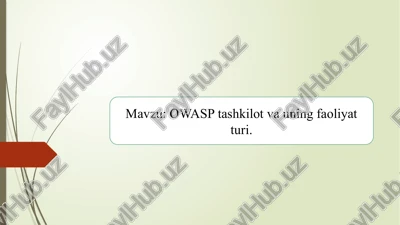 owasp tashkilot va uning faoliyat turi.2 — PPTX
