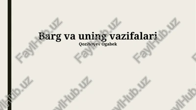 barg va uning vazifalari — PPTX