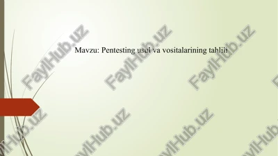 pentesting usul va vositalarining tahlili — PPTX