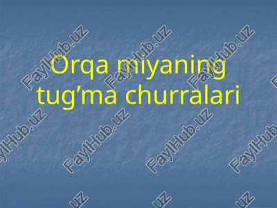 orqa miyaning tug’machurralari — PPTX