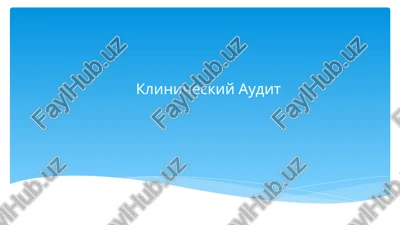 klinicheskiy audit — PPTX