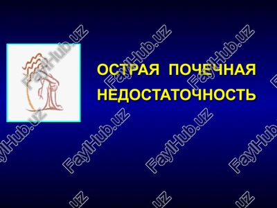 ostraya pochechnaya nedostatochnost — PPTX