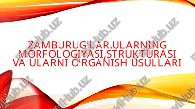 zamburugʻlar.ularning morfologiyasi,strukturasi va ularni oʻrganish usullari — PPTX