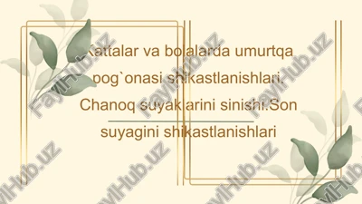 umurtka pogonasi va chanok-son suyaklarining shikastlanishlari — PPTX