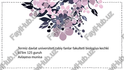 ildizlar tizimi — PPTX