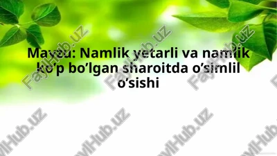 namlik yetarli va namlik ko’p bo’lgan sharoitda o’simlil o’sishi — PPTX