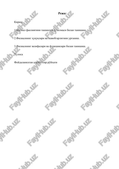 filial faoliyatini tashkiliy tuzilmasi — DOCX
