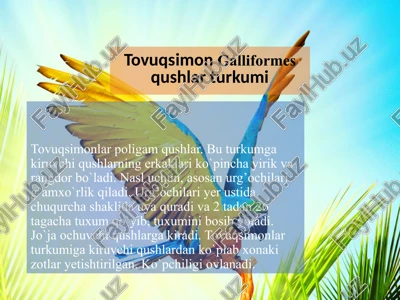 tovuqsimonlar — PPTX