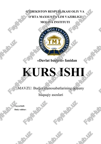 davlat budjeti fanidan kurs ishi — DOCX