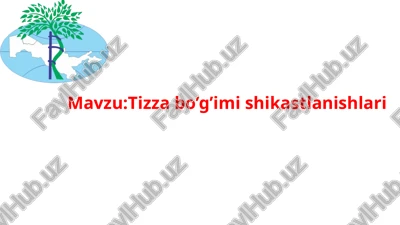 tizza bo’g’imi shikastlanishlari — PPTX