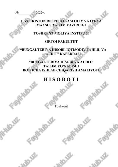 buxgalteriya hisobi va audit — DOCX