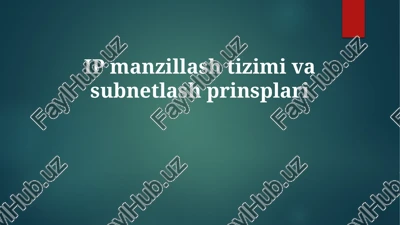 ip manzillashtizimivasubnetlashprinsplari — PPTX