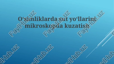 o'simliklarda sutyollarini mikroskop ostida kuzatish — PPTX