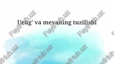 urug'vam evaning tuzilishi — PPTX