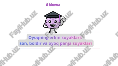 oyoqning erkin suyaklari — PDF