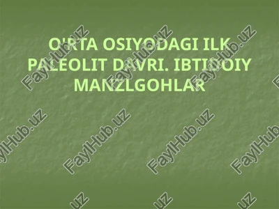 o'rta osiyodagi ilk paleolit davri — PPTX
