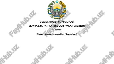 tangachaqanotlilar(kapalaklar) — PPTX