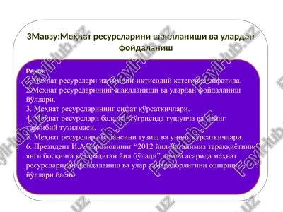 mehnat resurslarini shakllanishi va ulardan foydalanish — PPTX