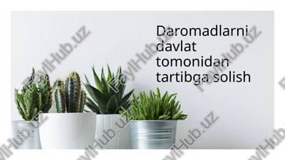daromadlarni davlat tomonidan tartibga solish — PPTX