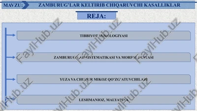 zamburug’lar keltirib chiqaruvchi kasalliklar — PPTX