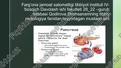 pancreas — PPTX