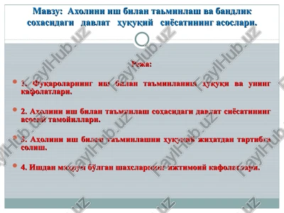 aholini ish bilan ta'minlash va bandlik soxasidagi davlat huquqiy siyosatining asoslari — PPT