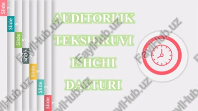 auditorlik tekshiruvi ishchi dasturi — PPTX