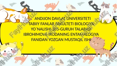 qo`shdumlilar va qildumlilar — PPTX