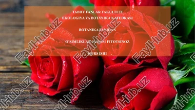 o'simliklar jamosifi fitotsinoz kurs ishi — PPTX