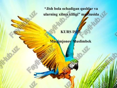 jishbolaochadigan qushlar va ularning xilmatilligi — PPTX