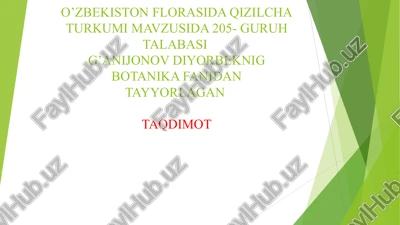 qizilcha turkumi — PPT
