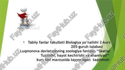 skatlar tuzilishi, hayot kechirishi va ahamiyati — PPTX