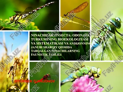 ninachilar (insecta: odonata) turkumining bioekologiyasi va sistematikasi vaandijonning janubi sharqiy qismida tarqalgan ninachilarning faunistik tahlili — PPTX