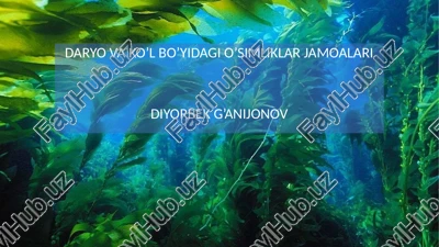 daryo va ko'l bo'yidagi o'simliklar jamoalari — PPTX