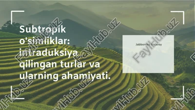 subtropik o'simliklar: intraduksiya qilingan turlar va ularning ahamiyati — PPTX