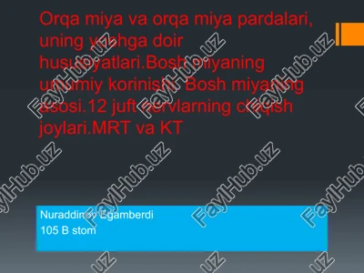 orqamiya va orqa parda — PPTX