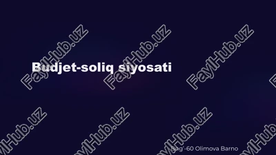 budjet-soliq siyosati — PPTX