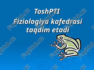 ayiruv tizimining fiziologiyasi — PPT